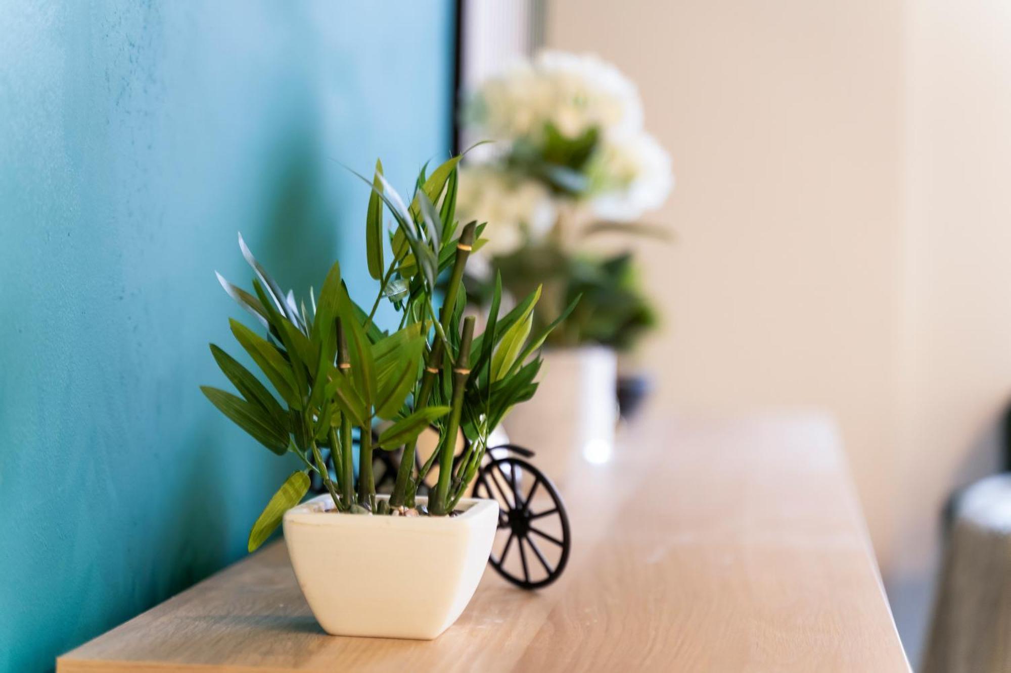 ברמינגהאם Evergreen Haven - Central 2Br - Free Parking W High Speed Wifi מראה חיצוני תמונה